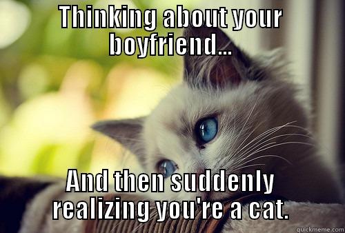 THINKING ABOUT YOUR BOYFRIEND... AND THEN SUDDENLY REALIZING YOU'RE A CAT. First World Problems Cat
