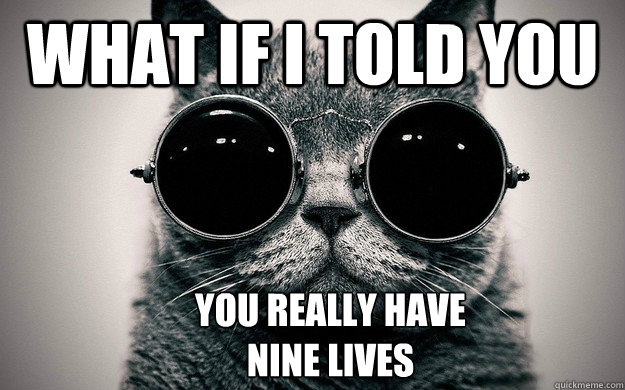 What if i told you you really have  
NINE LIVES  Morpheus Cat Facts