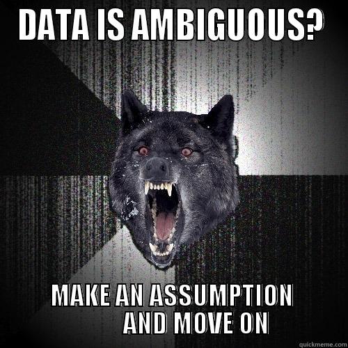 DATA IS AMBIGUOUS? MAKE AN ASSUMPTION           AND MOVE ON Insanity Wolf