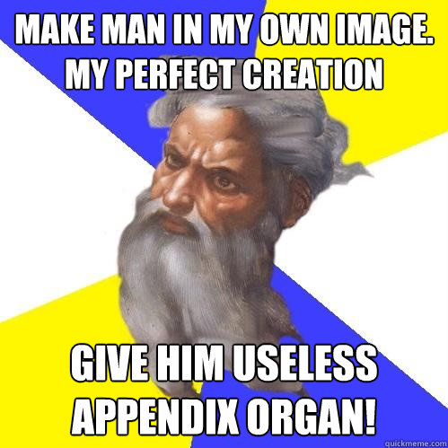 Make man in my own image. My perfect creation give him useless appendix organ!  Advice God