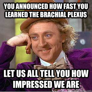 You announced how fast you learned the brachial plexus Let us all tell you how impressed we are - You announced how fast you learned the brachial plexus Let us all tell you how impressed we are  Condescending Wonka