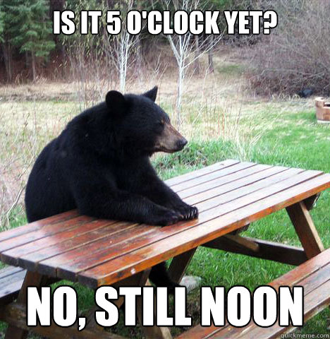 is it 5 o'clock yet? no, still noon  waiting bear