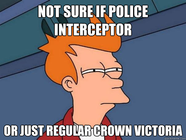 not sure if police interceptor or just regular crown victoria  Futurama Fry