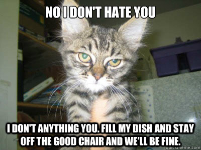 No I don't hate you I don't anything you. Fill my dish and stay off the good chair and we'll be fine.  