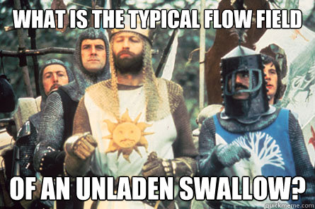 What is the typical Flow field of an unladen swallow?  Monty Python