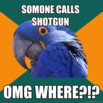 Somone calls shotgun omg WHERE?!?  Paranoid Parrot