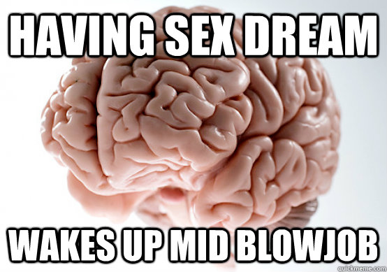 Having sex dream wakes up mid blowjob  Scumbag brain on life