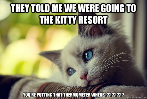 They told me we were going to the kitty Resort You're putting that thermometer where????????  First World Problems Cat