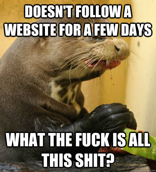 Doesn't Follow a Website for a few days What the fuck is all this shit?  Disgusted Otter