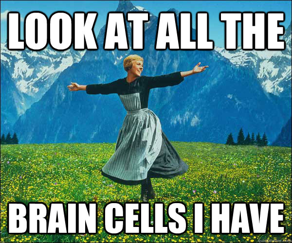 look at all the brain cells I have  Look at all these fucks