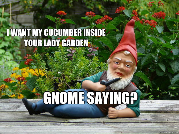 I want my cucumber Inside your lady Garden Gnome saying? - I want my cucumber Inside your lady Garden Gnome saying?  Sexy Gnome