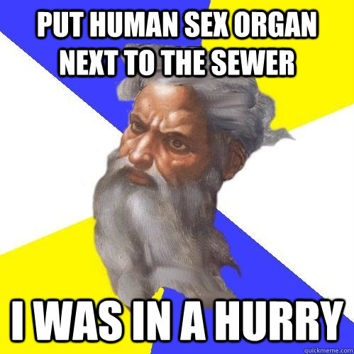 Put human sex organ next to the sewer I was in a hurry  Advice God