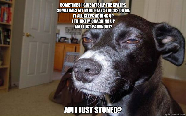 Sometimes I give myself the creeps
 Sometimes my mind plays tricks on me
 It all keeps adding up
 I think I'm cracking up
 Am I just paranoid? Am I just stoned?
 - Sometimes I give myself the creeps
 Sometimes my mind plays tricks on me
 It all keeps adding up
 I think I'm cracking up
 Am I just paranoid? Am I just stoned?
  Skeptical Mutt