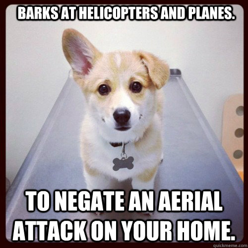 barks at helicopters and planes. to negate an aerial attack on your home. - barks at helicopters and planes. to negate an aerial attack on your home.  Good Guy Dog