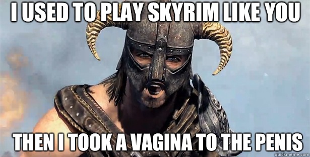 I used to play skyrim like you then I took a vagina to the penis  skyrim