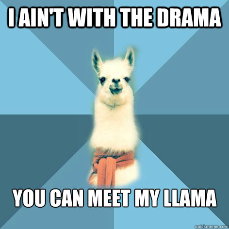 i ain't with the drama you can meet my llama  Linguist Llama