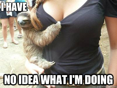 I have no idea what i'm doing - I have no idea what i'm doing  Sloth