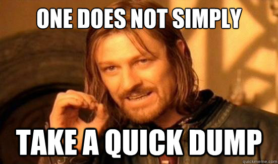 One Does Not Simply take a quick dump  Boromir
