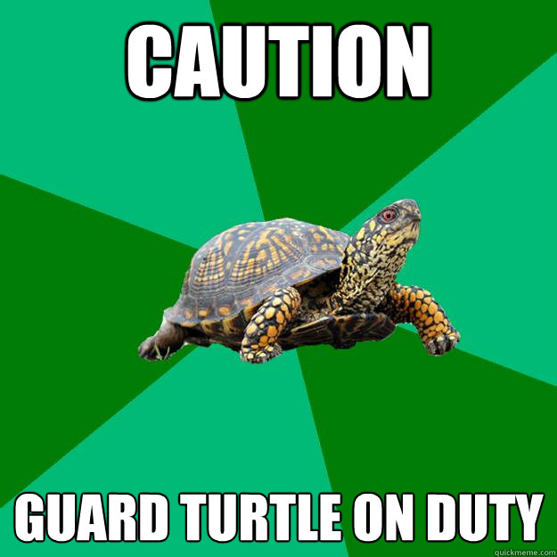 Caution GUARD TURTLE On Duty  Torrenting Turtle