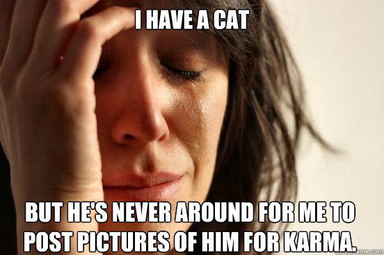 I have a cat  but he's never around for me to post pictures of him for karma.  First World Problems