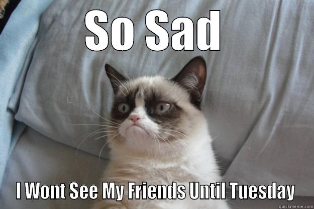 SO SAD I WONT SEE MY FRIENDS UNTIL TUESDAY Grumpy Cat