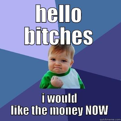HELLO BITCHES I WOULD LIKE THE MONEY NOW Success Kid