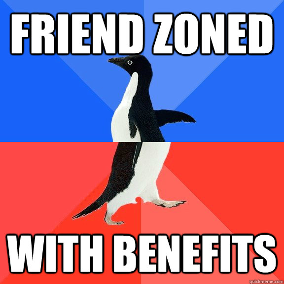 Friend Zoned With benefits  Socially Awkward Awesome Penguin