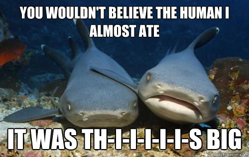 You wouldn't believe the human I almost ate It was TH-I-I-I-I-I-S big  Compassionate Shark Friend