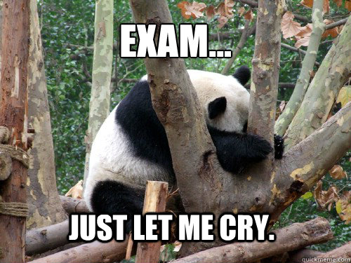 Exam... Just let me cry. - Exam... Just let me cry.  panda