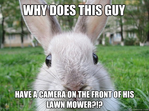Why does this guy have a camera on the front of his lawn mower?!?  Rabbit webcam