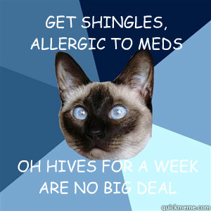 GET SHINGLES, ALLERGIC TO MEDS
 OH HIVES FOR A WEEK ARE NO BIG DEAL - GET SHINGLES, ALLERGIC TO MEDS
 OH HIVES FOR A WEEK ARE NO BIG DEAL  Chronic Illness Cat