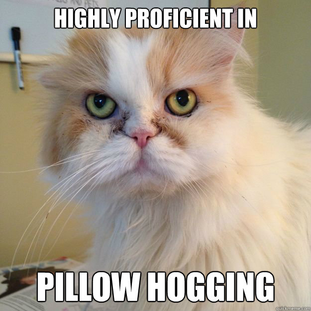 Highly Proficient in  Pillow Hogging - Highly Proficient in  Pillow Hogging  Pet Resume Skills