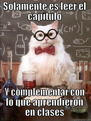 SOLAMENTE ES LEER EL CAPÍTULO Y COMPLEMENTAR CON LO QUE APRENDIERON EN CLASES Chemistry Cat