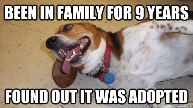 Been in family for 9 years Found out it was adopted  Shocked Dog