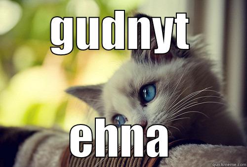 GUDNYT EHNA First World Problems Cat
