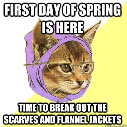 first day of spring is here time to break out the scarves and flannel jackets - first day of spring is here time to break out the scarves and flannel jackets  Hipster Kitty