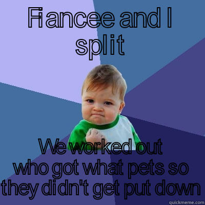 FIANCEE AND I SPLIT WE WORKED OUT WHO GOT WHAT PETS SO THEY DIDN'T GET PUT DOWN Success Kid