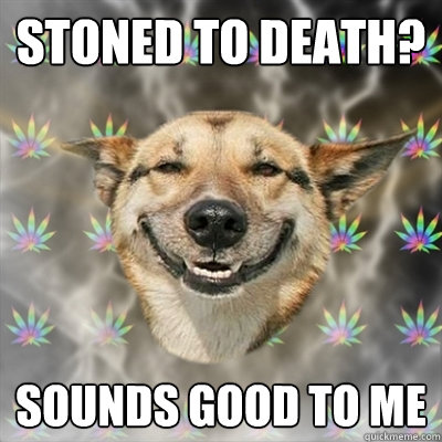 Stoned to death? Sounds good to me  Stoner Dog