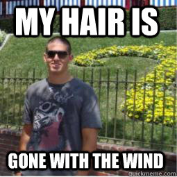 My hair is GONE WITH THE WIND - My hair is GONE WITH THE WIND  gone hair goku