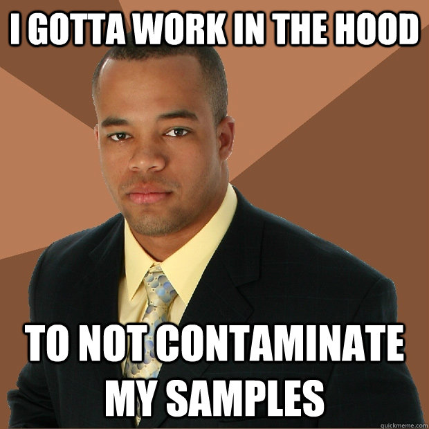 i gotta work in the hood to not contaminate my samples - i gotta work in the hood to not contaminate my samples  Successful Black Man