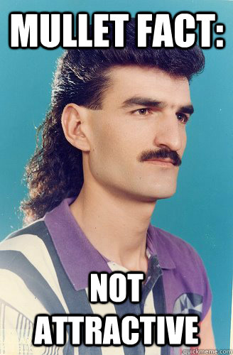 Mullet fact: not attractive - Mullet fact: not attractive  stoic mullet man