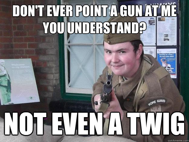 Don't ever point a gun at me you understand? not even a twig  