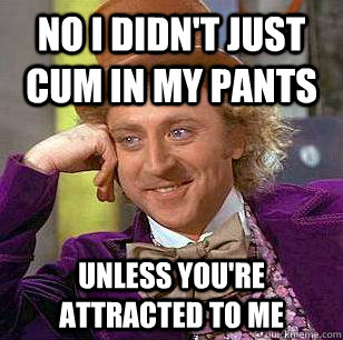no i didn't just cum in my pants unless you're attracted to me  Condescending Wonka