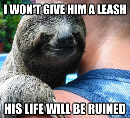 I won't give him a leash His life will be ruined  Suspiciously Evil Sloth