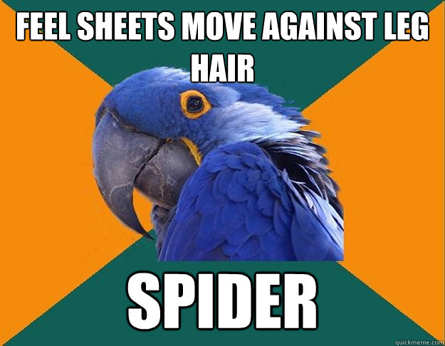 feel sheets move against leg hair Spider  Paranoid Parrot