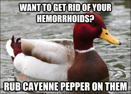 Want to get rid of your hemorrhoids? Rub cayenne pepper on them  Malicious Advice Mallard