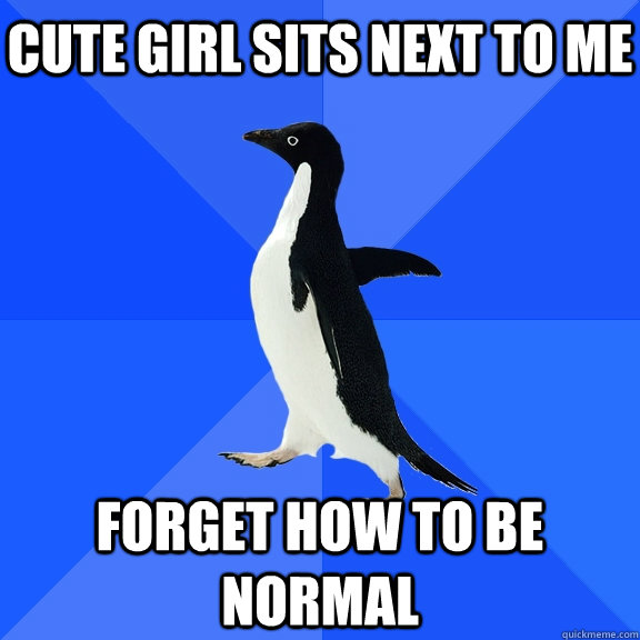 Cute girl sits next to me  Forget how to be normal     Socially Awkward Penguin