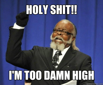 Holy Shit!! I'm too damn high  Too Damn High