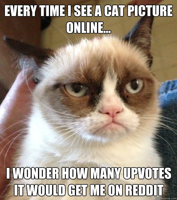 every time I see a cat picture online... I wonder how many upvotes it would get me on reddit - every time I see a cat picture online... I wonder how many upvotes it would get me on reddit  Misc