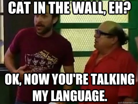 Cat in the wall, eh?  Ok, now you're talking my language. - Cat in the wall, eh?  Ok, now you're talking my language.  Inspirational Charlie Kelly